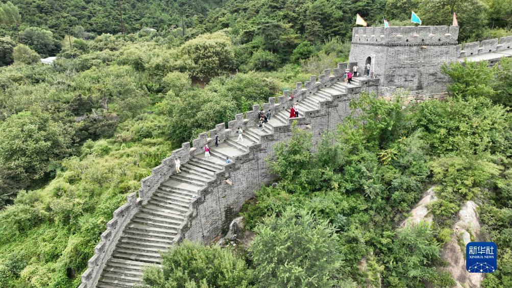 金鲨银鲨2